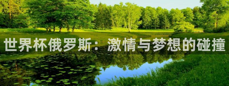 世界杯球赛:世界杯俄罗斯:激情与梦想的碰撞
