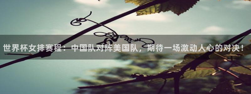 2026世界杯小组赛赛程时间表:世界杯女排赛程:中国队对阵美国队,期待一场激动人心的对决!