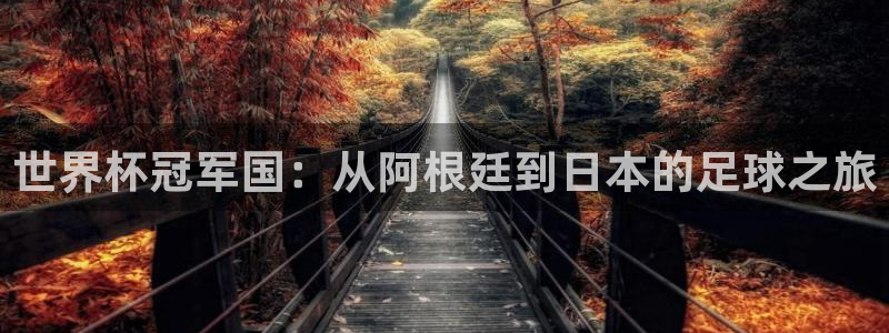 世界杯预选赛2026:世界杯冠军国:从阿根廷到日本的足球之旅