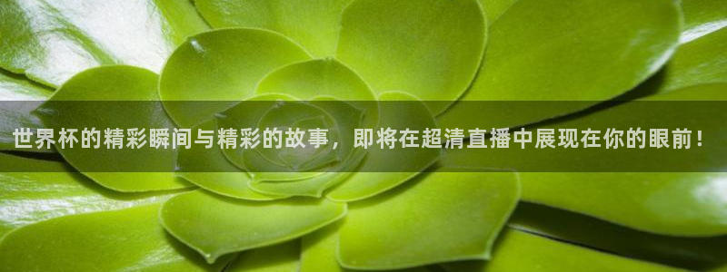 2026世界杯欧洲预选赛赛程表:世界杯的精彩瞬间与精彩的故事,即将在超清直播中展现在你的眼前!