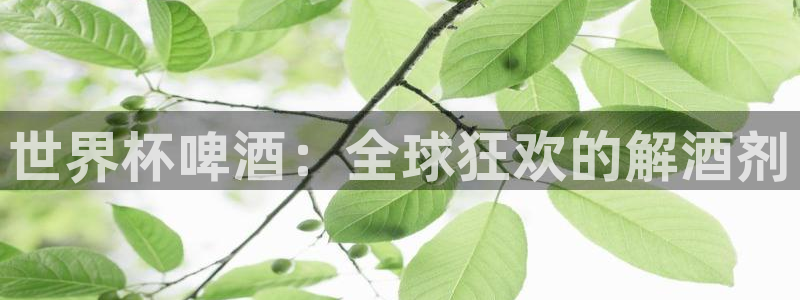 足球世界杯:世界杯啤酒:全球狂欢的解酒剂